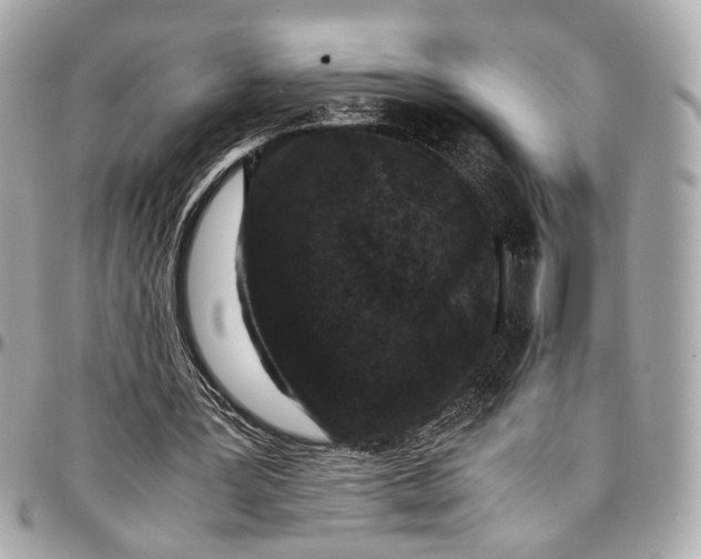 X0000096980387200802221439