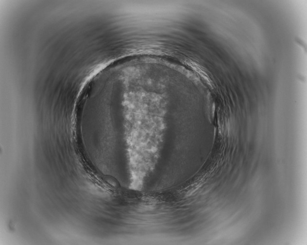 X0000096980388200802221439