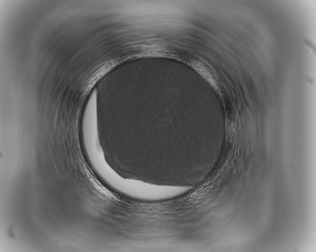 X0000096980389200802221439