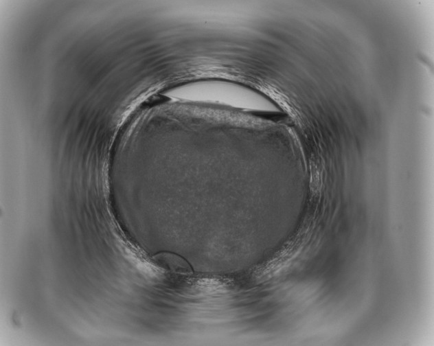 X0000096980390200802221439