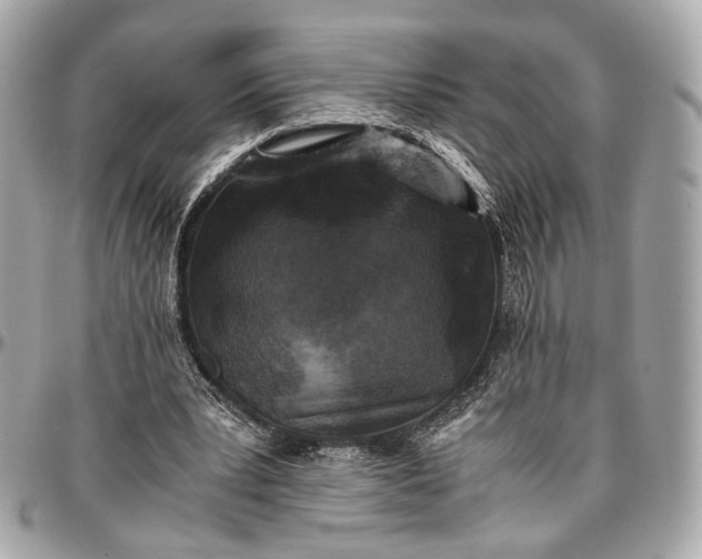 X0000096980391200802221439