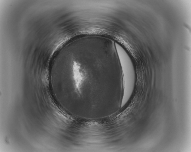 X0000096980392200802221439