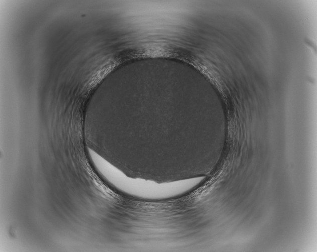 X0000096980393200802221439