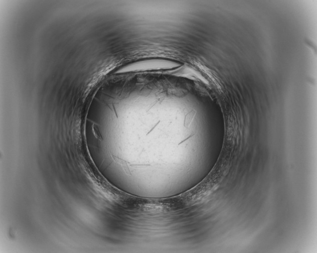 X0000096980394200802221439