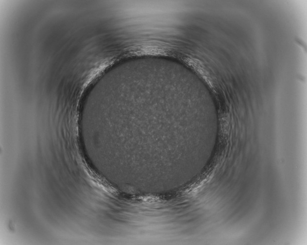 X0000096980395200802221439