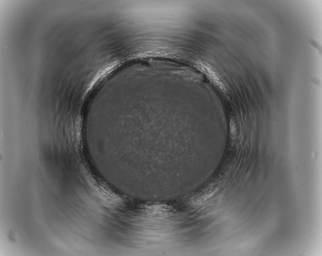 X0000096980396200802221439