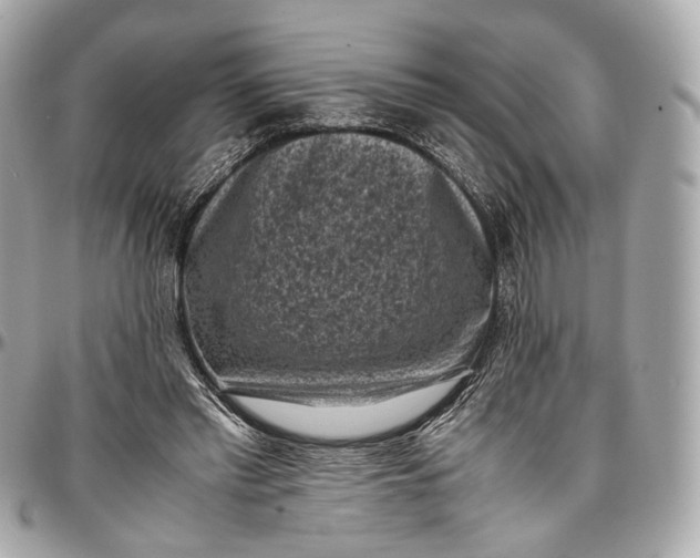 X0000096980397200802221439