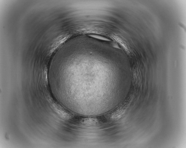 X0000096980398200802221439