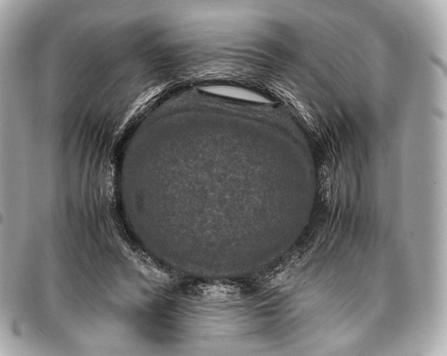 X0000096980400200802221439