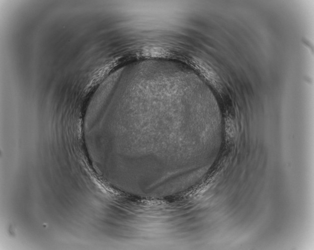 X0000096980401200802221439