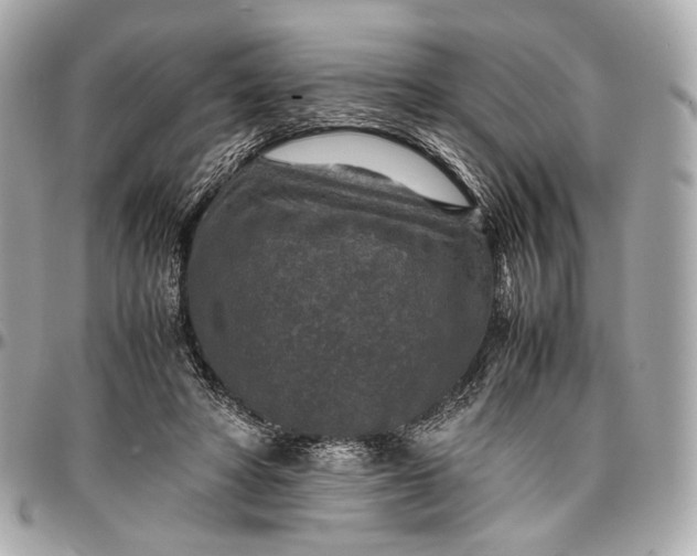 X0000096980402200802221439