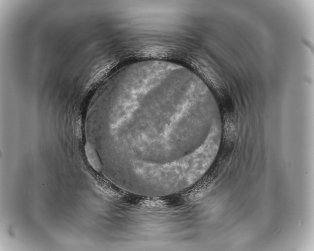 X0000096980403200802221439