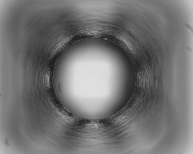 X0000096980404200802221439