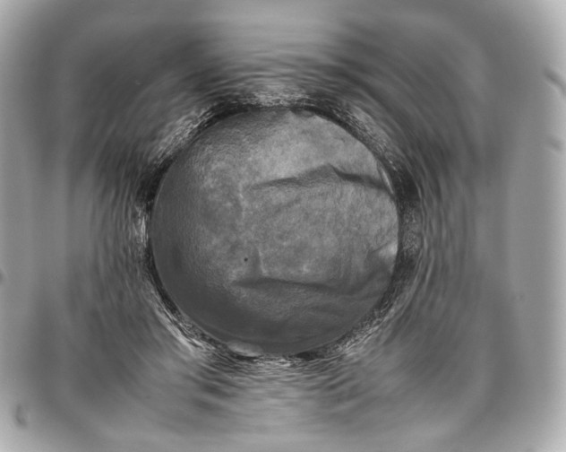 X0000096980405200802221439