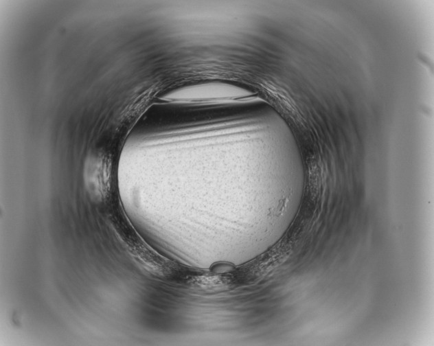 X0000096980406200802221439