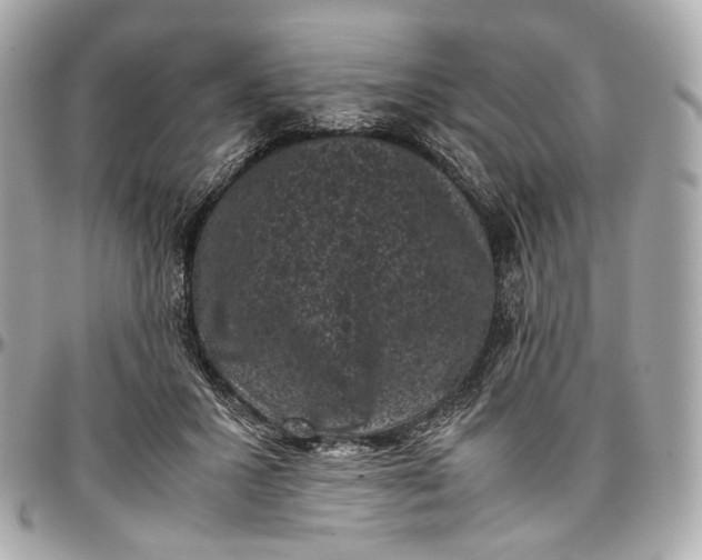 X0000096980407200802221439