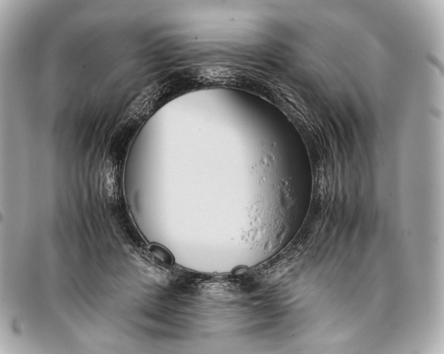 X0000096980408200802221439