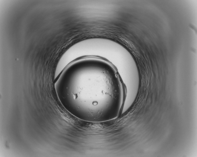 X0000096980409200802221439