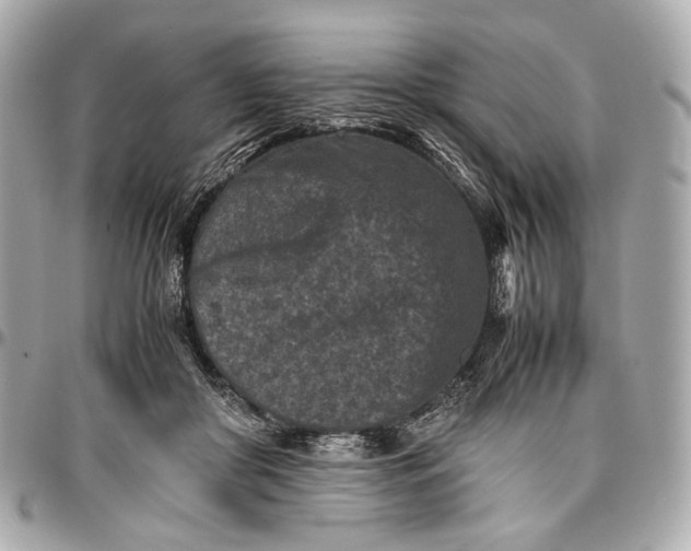 X0000096980410200802221439