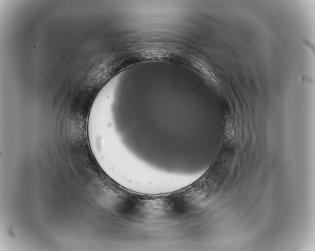 X0000096980411200802221439