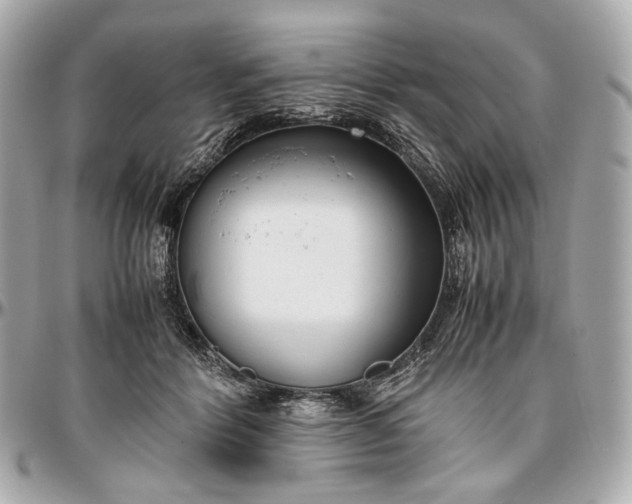 X0000096980412200802221439