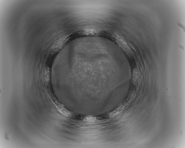 X0000096980413200802221439