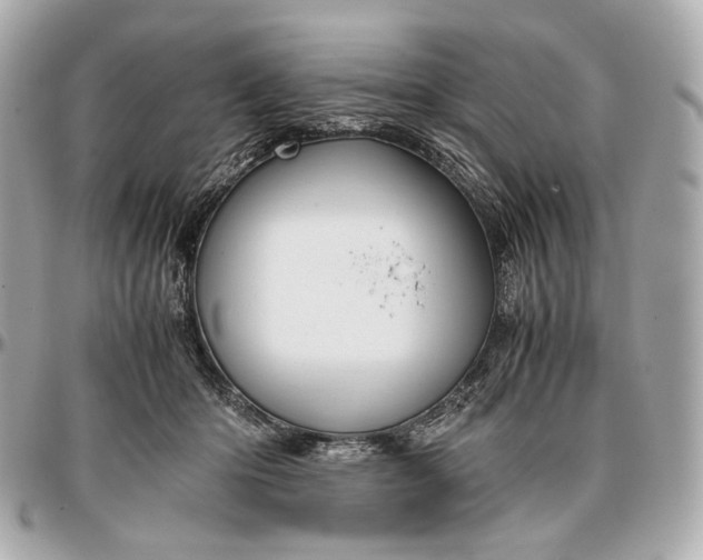 X0000096980414200802221439