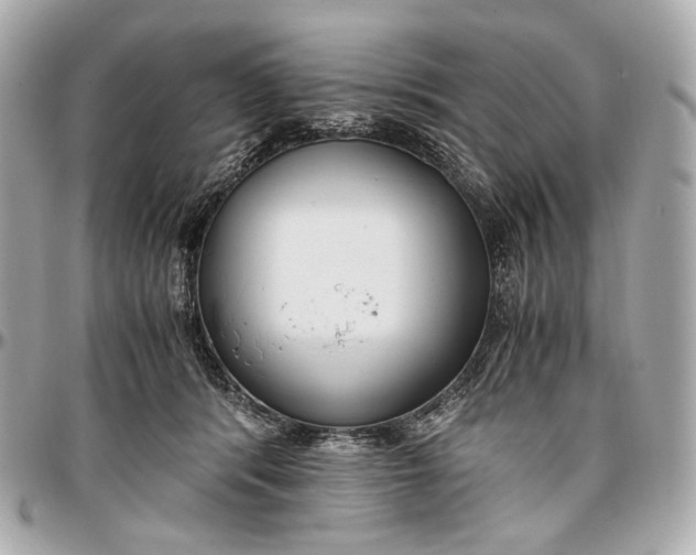 X0000096980416200802221439