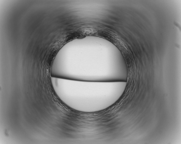 X0000096980417200802221439