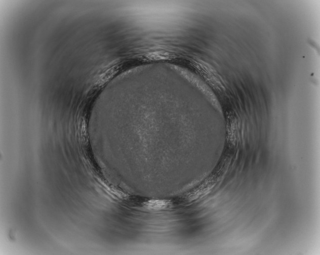 X0000096980418200802221439