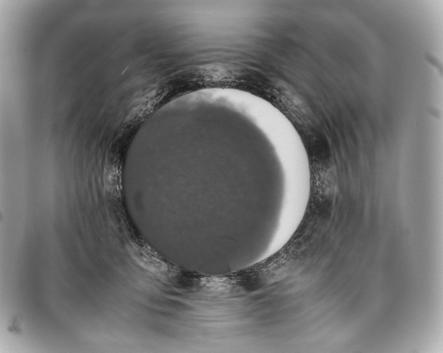 X0000096980419200802221439