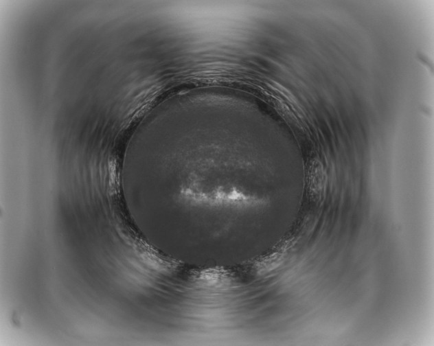 X0000096980420200802221439