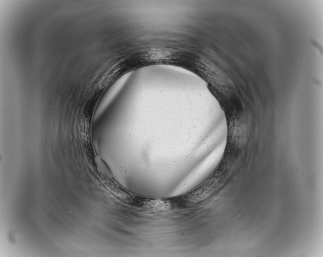 X0000096980421200802221439