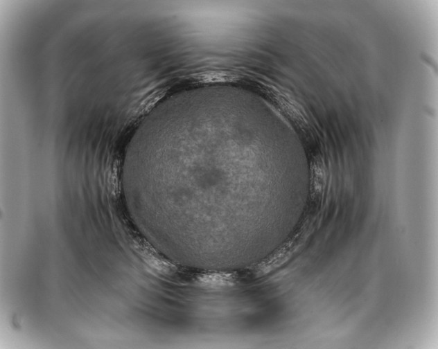 X0000096980422200802221439