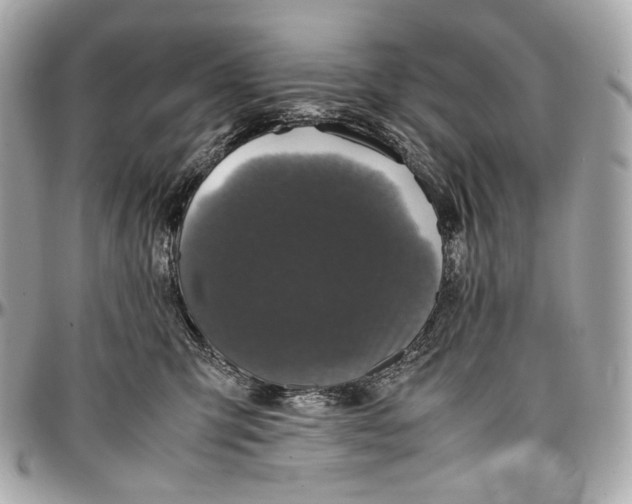 X0000096980423200802221439