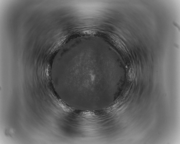 X0000096980424200802221439