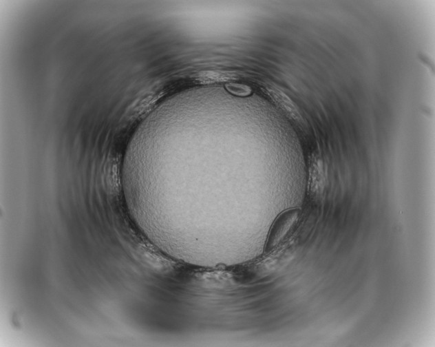 X0000096980426200802221439