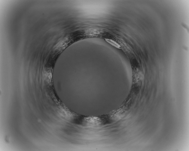 X0000096980427200802221439