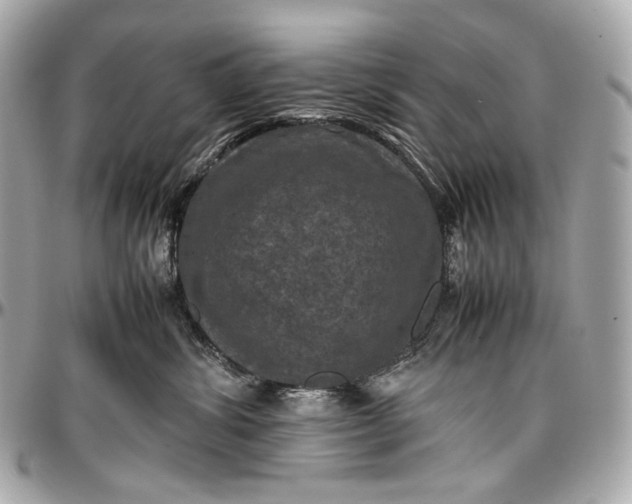 X0000096980428200802221438