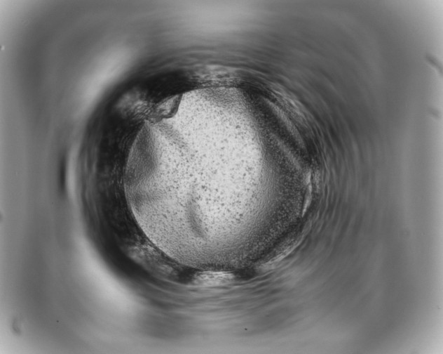 X0000096980429200802221438