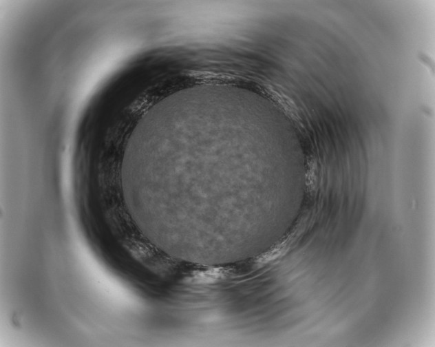 X0000096980430200802221438