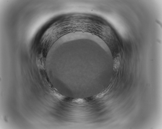 X0000096980431200802221438