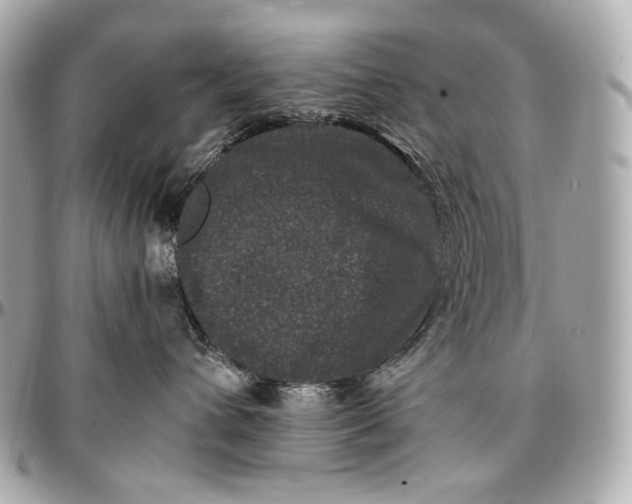 X0000096980432200802221438