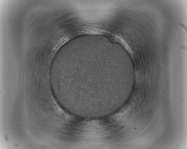 X0000096980433200802221438