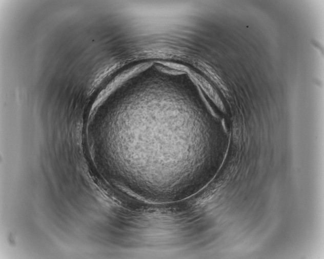 X0000096980434200802221438