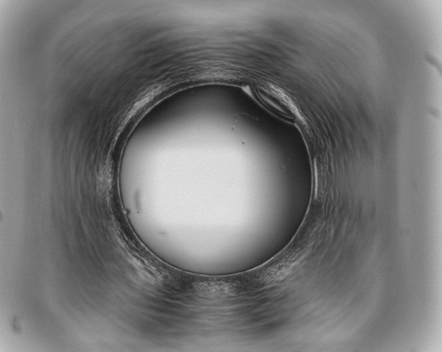 X0000096980435200802221438