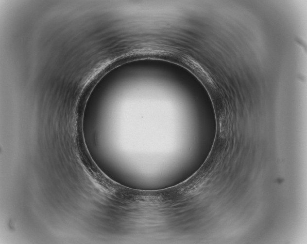 X0000096980436200802221438