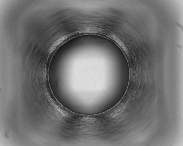 X0000096980437200802221438