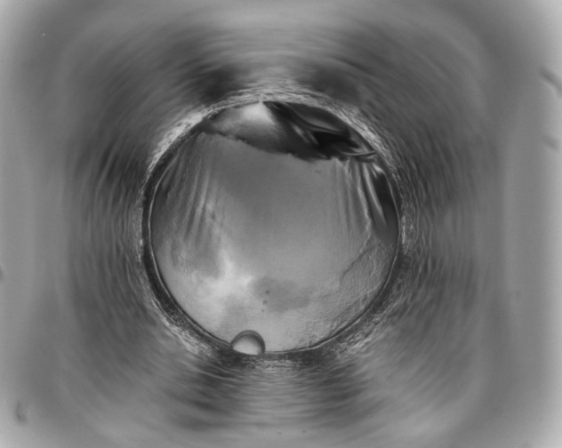 X0000096980438200802221438