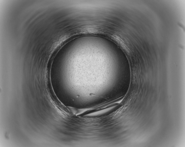 X0000096980439200802221438